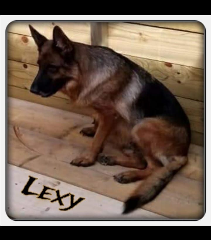 Lexy De marka